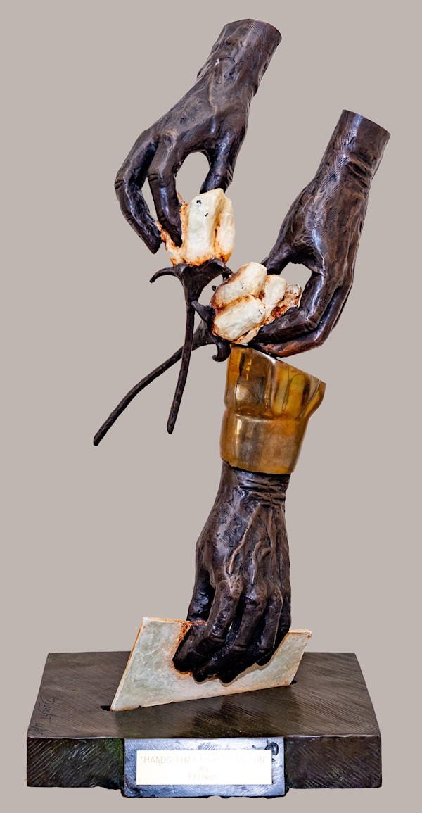 Hands That Picked Cotton by Ed Dwight