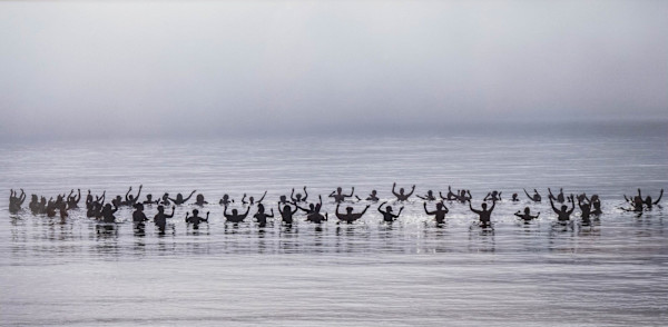 Inkwell Beach "Polar Bears" by Michael Blanchard