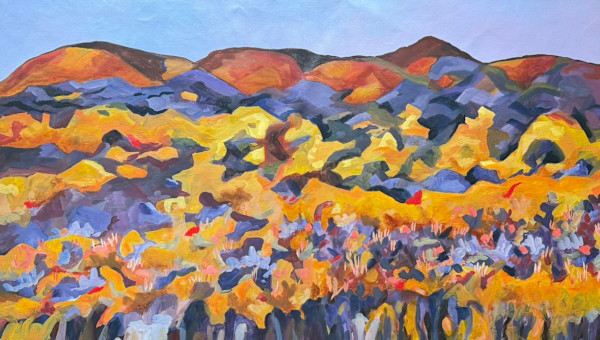 Last Light at the Lookout by Pam Wardner