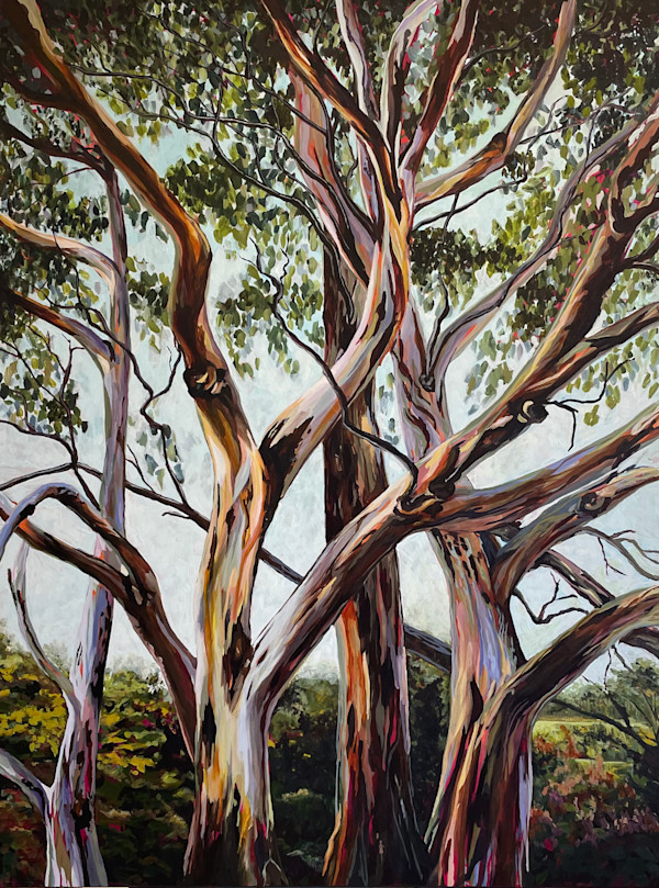 Tree sisters by Pam Wardner