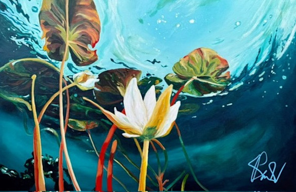 Lily Dreaming by Pam Wardner