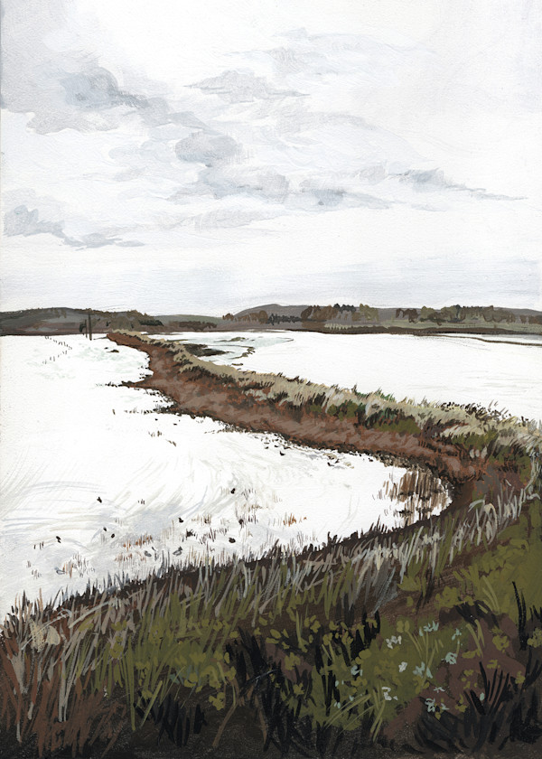 View From  the Train: Cattawade Marshes by Glynnis Baker