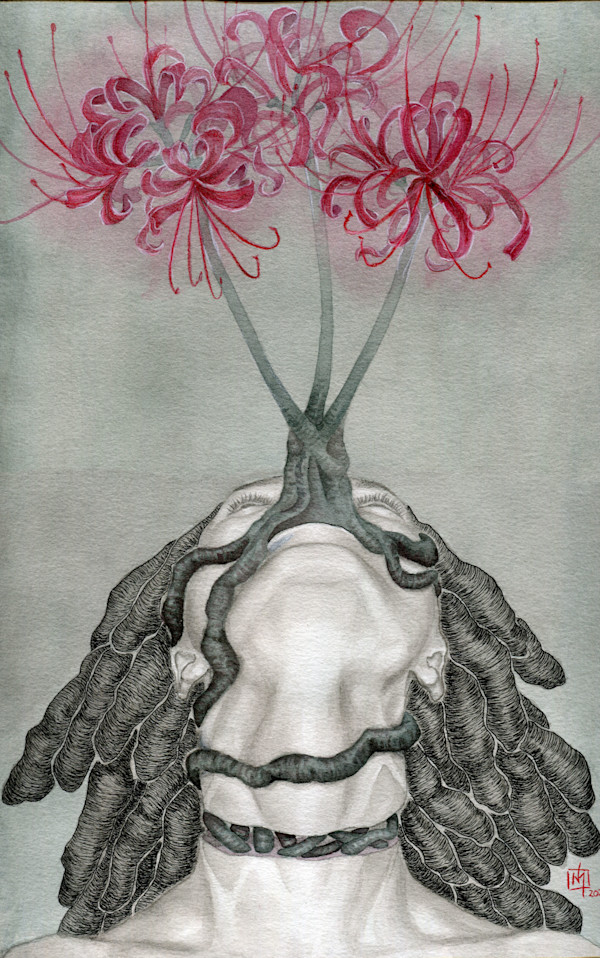 Transition by Ash D Williams