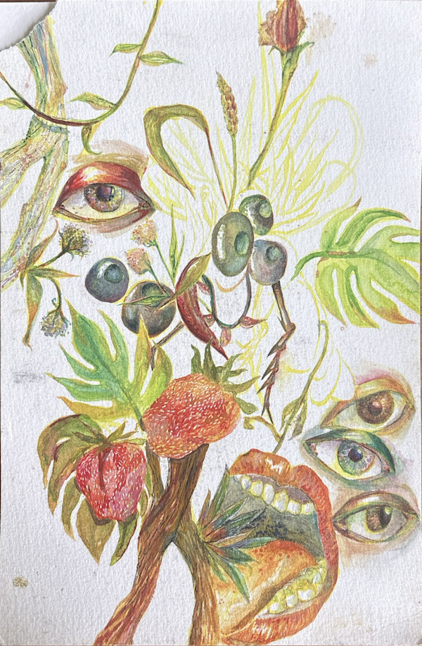 Wild Urban by Amrita Sawhney