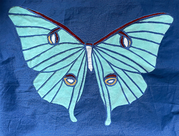 Luna Moth by Kristin Ziegler