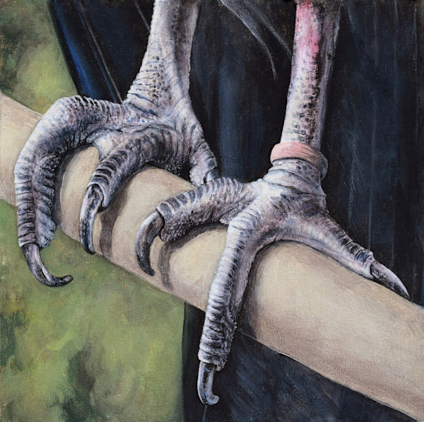 Condor #70 by Lynette K Henderson