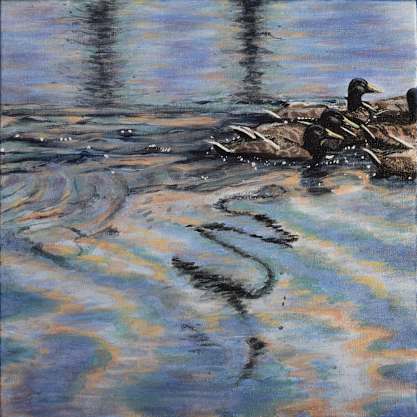 Ducks On A Pond by Lynette K Henderson