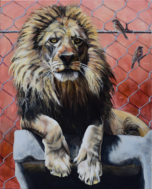 Lion With Sparrows. by Lynette K Henderson