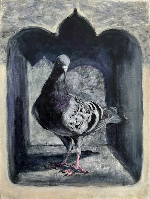 Sanctuary: Rock Pigeon. by Lynette K Henderson