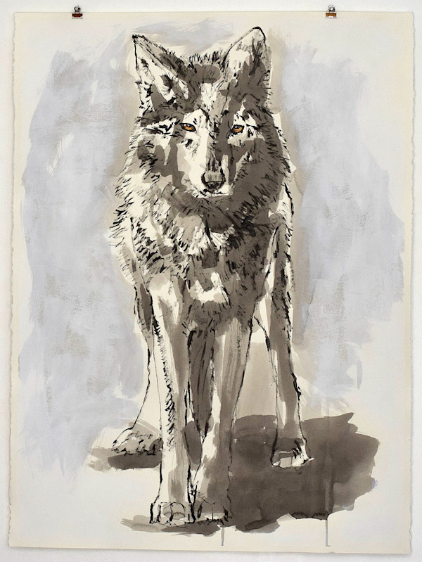 Standing Wolf (Encounter II) by Lynette K Henderson
