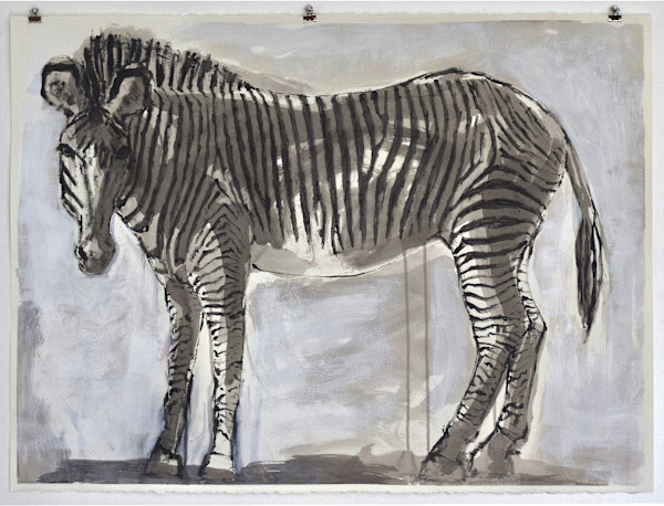 Standing Zebra. by Lynette K Henderson