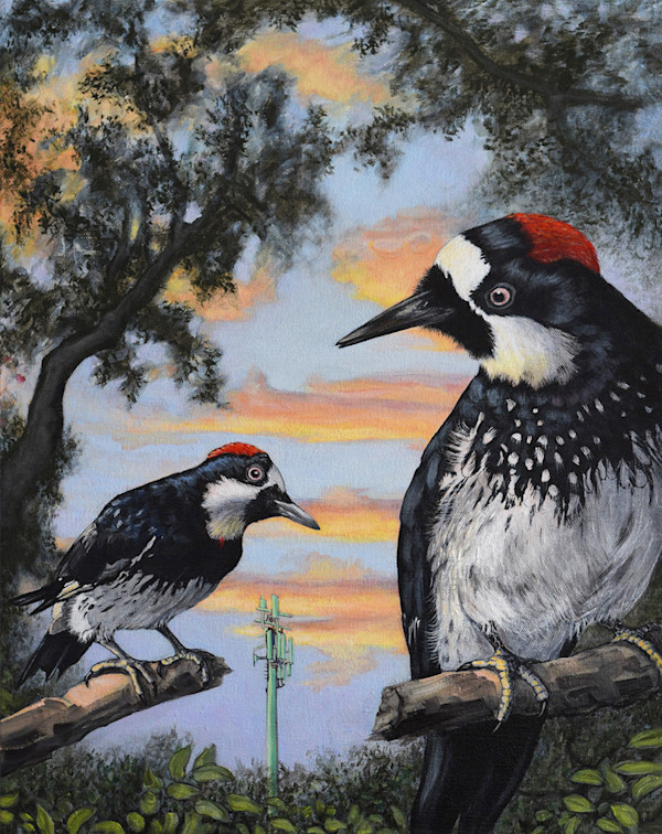 Woodpeckers At Sunset. by Lynette K Henderson