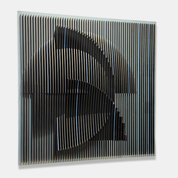 Synopode black by Jose Margulis, Image 1.