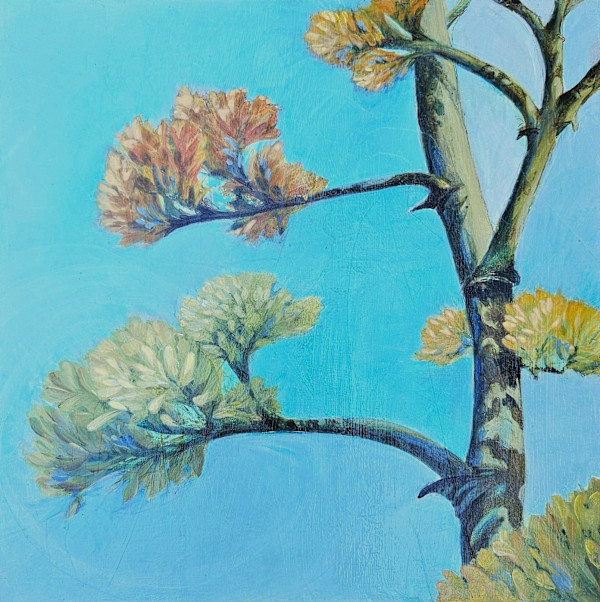 Century I by Karin Lawler