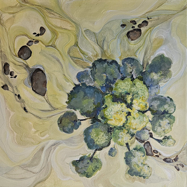 Century Overhead by Karin Lawler