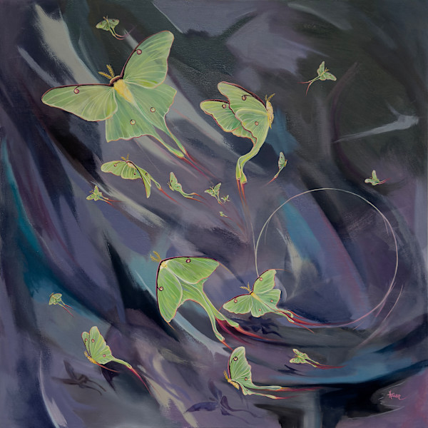 Flight of the Luna Moth by Sam Hauser