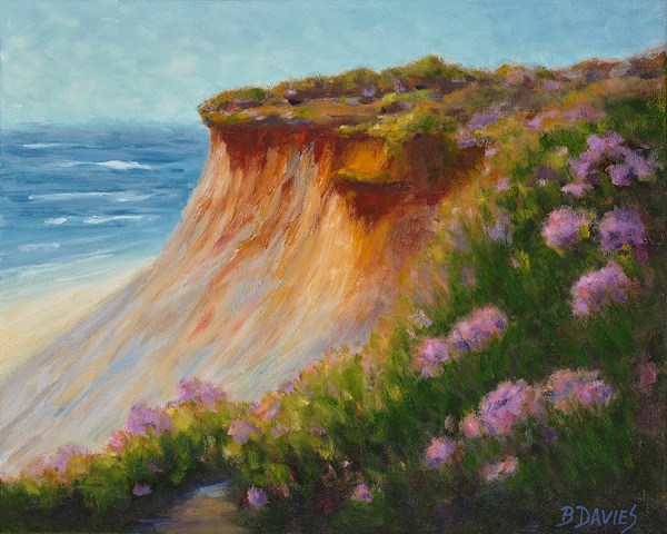 Del Mar Bluff (framed) by Barbara Davies, Image 1.