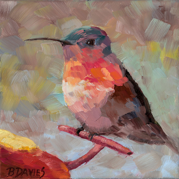 Hummingbird by Barbara Davies