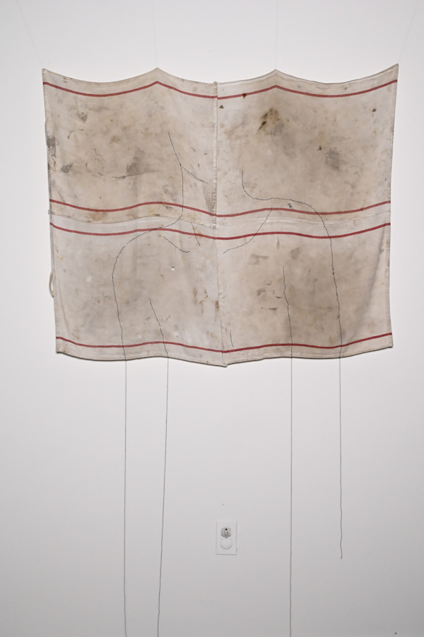 Remnant of Identity (Large) by Joanne Steinhardt, Image 1.