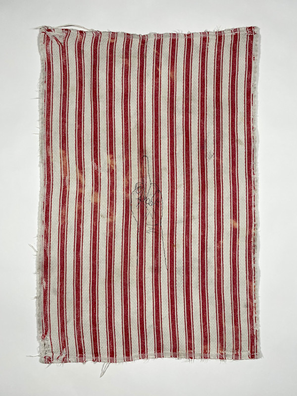Remnant of Behaving Badly (OG) by Joanne Steinhardt, Image 1.