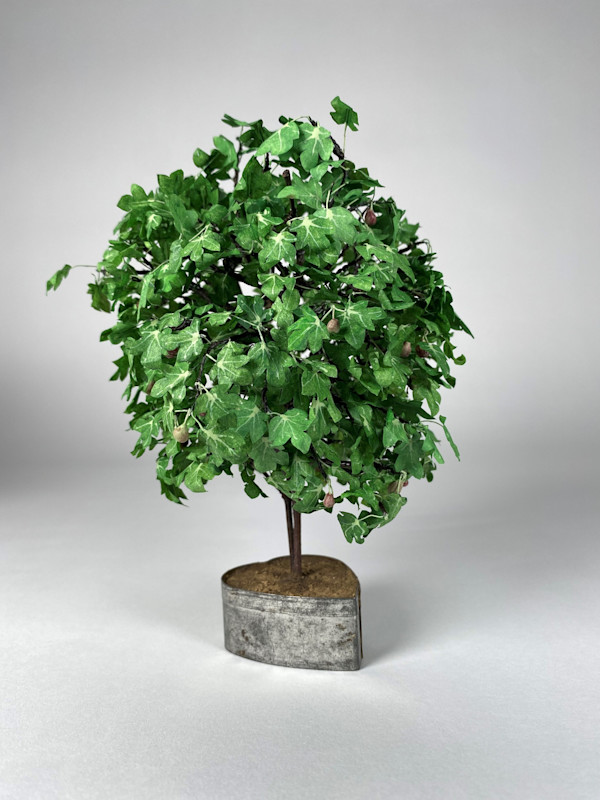 Fig Tree by Joanne Steinhardt