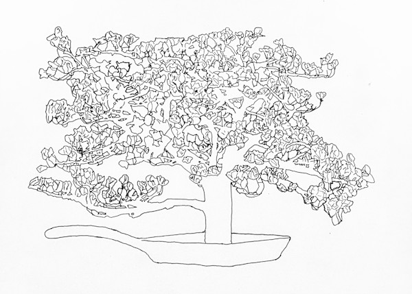 Map of Magnolia Tree by Joanne Steinhardt, Image 1.