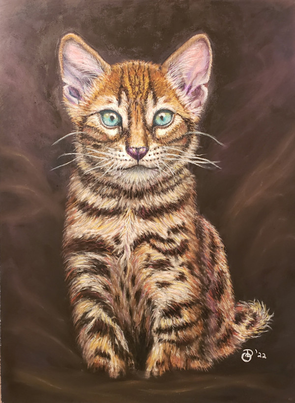 Bengal Kitten by Olive Dodd