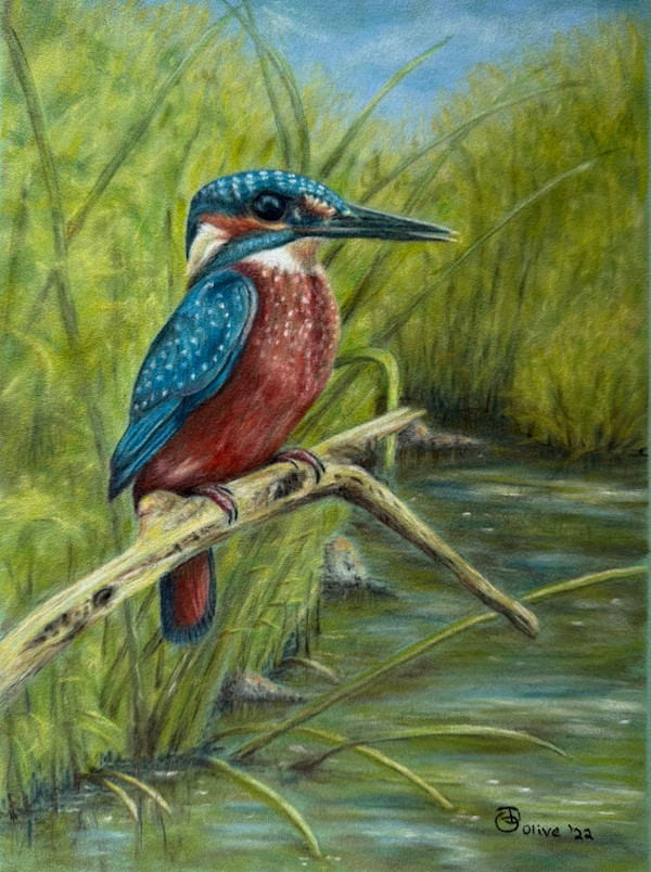 Kingfisher by Olive Dodd, Image 1.