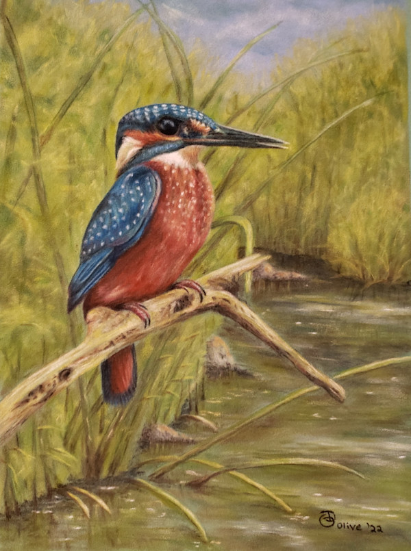 Kingfisher by Olive Dodd