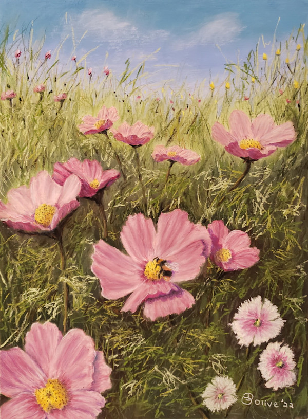 Magical Meadows by Olive Dodd