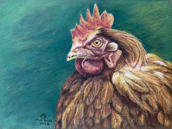 Curious Companion by Olive Dodd, Image 1.