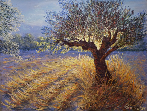 Colors of Summer Olive Grove by Olive Dodd