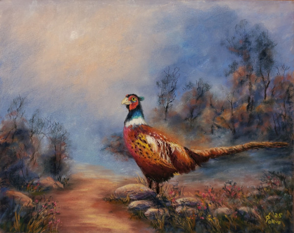 Morning Pheasant Pause by Olive Dodd