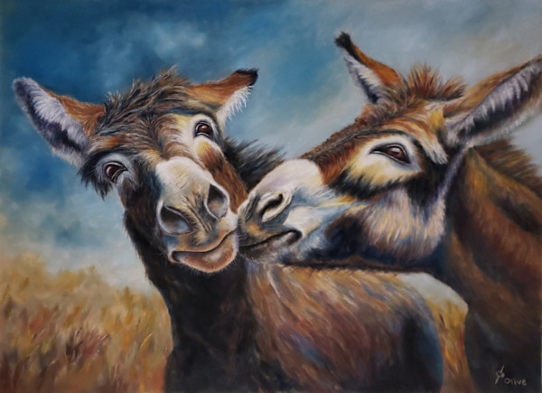 Soft Ears, Big Hearts by Olive Dodd
