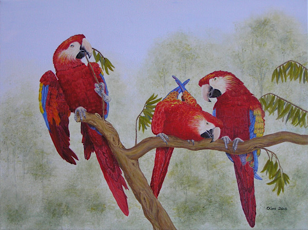 Parrot Play by Olive Dodd