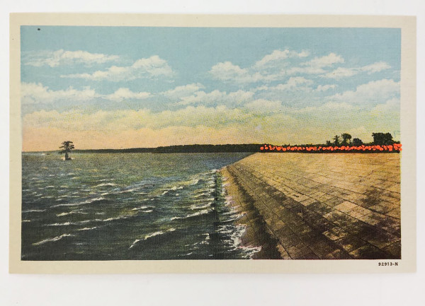 Jamestown Island Postcard by Meg Roberts Arsenovic