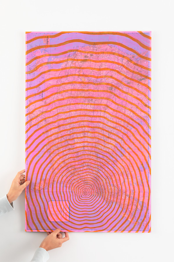 'Big Bird' from the Chesapeake Bay Impact Crater series by Meg Roberts Arsenovic
