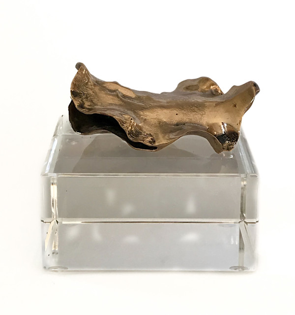 Small Jacaranda on Crystal Plinth #8 by Sarah Heinamann Studio