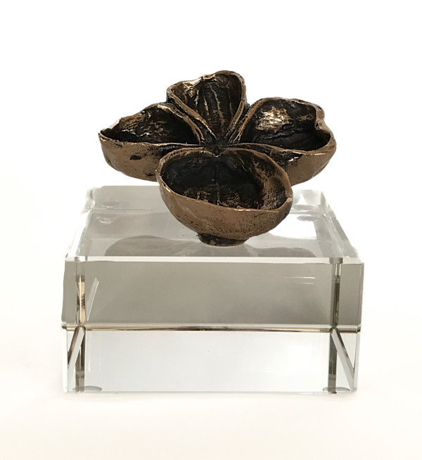 Wild Almond on Crystal Plinth #11 by Sarah Heinamann Studio