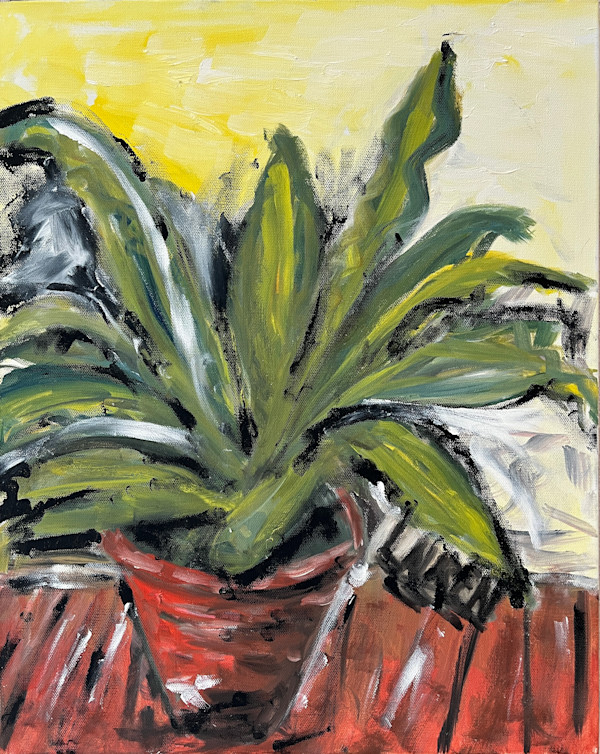 Favorite Plant by Lauren Thompson