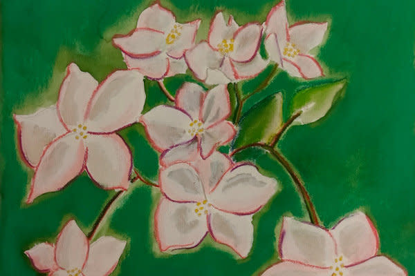 Begonia by Paul Riedel