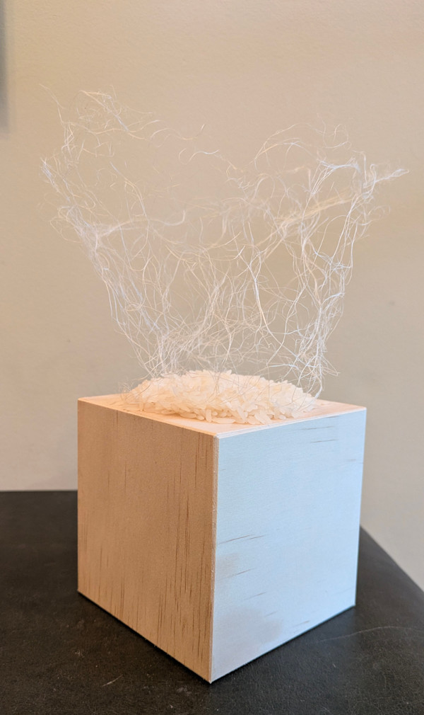 Unbearable Lightness by Roxas Arzt Studio by Anna Arzt