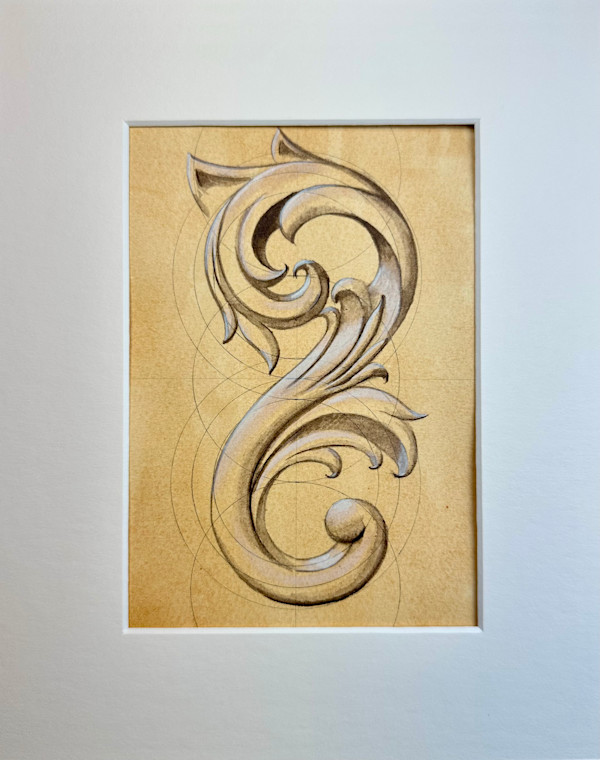 A Study of Acanthus I by Elizabeth Bronwen Reimer, Image 1.