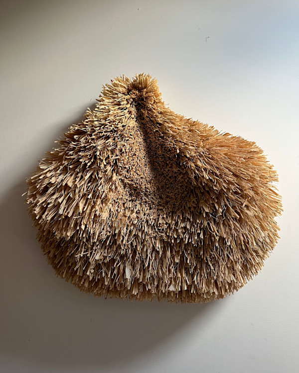 Orden Enmarañado by Jessica Ozlo, Image 1.