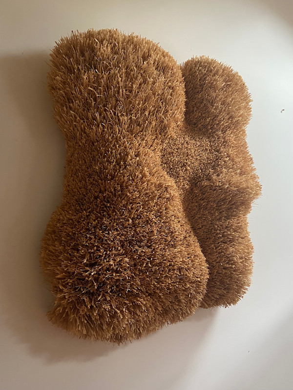 Transformaciones Orgánicas by Jessica Ozlo