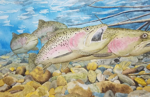 Steelhead Run by Daniel Austin, Image 1.