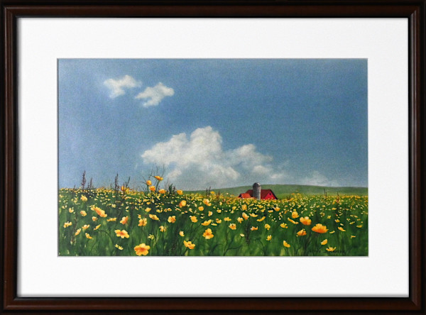 Field of Buttercups by Vitus J. Kaiser, Image 1.