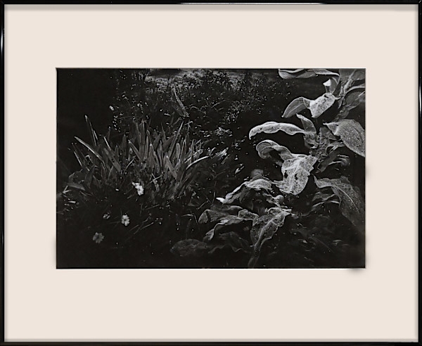 Garden by Kathy Merski, Image 1.