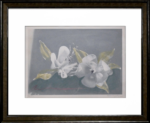 Untitled by Susan Singleton, Image 1.