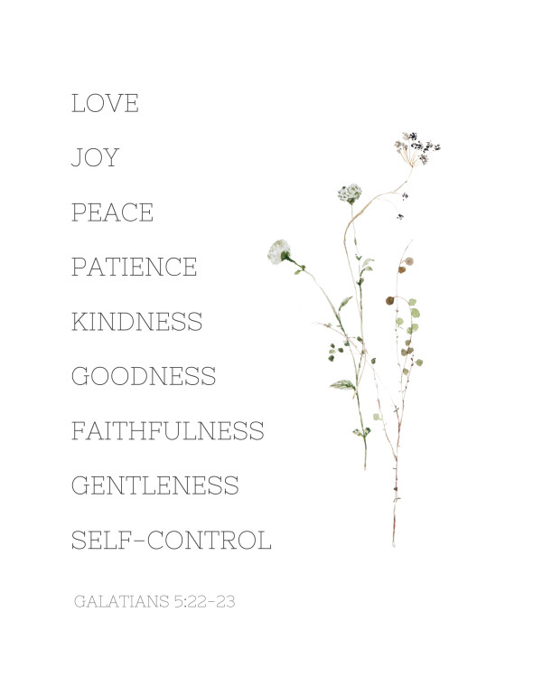 Love Joy Peace Patience - Galatians 5:22-23  - 8 x 10 Print - STAD20240013 - C16 by Susi Schuele